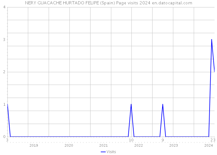 NERY GUACACHE HURTADO FELIPE (Spain) Page visits 2024 