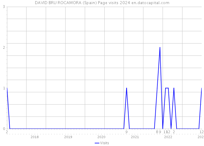 DAVID BRU ROCAMORA (Spain) Page visits 2024 