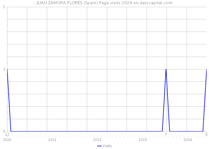 JUAN ZAMORA FLORES (Spain) Page visits 2024 