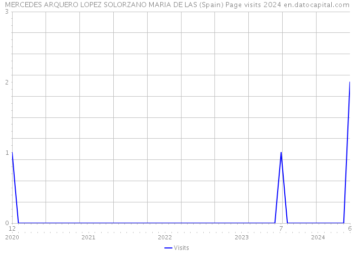 MERCEDES ARQUERO LOPEZ SOLORZANO MARIA DE LAS (Spain) Page visits 2024 