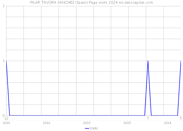 PILAR TAVORA SANCHEZ (Spain) Page visits 2024 