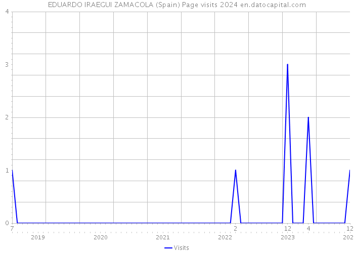 EDUARDO IRAEGUI ZAMACOLA (Spain) Page visits 2024 