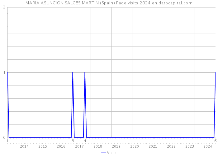 MARIA ASUNCION SALCES MARTIN (Spain) Page visits 2024 