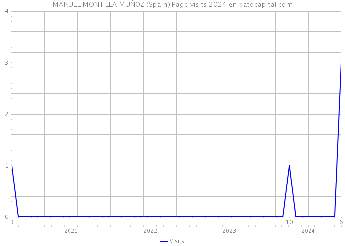 MANUEL MONTILLA MUÑOZ (Spain) Page visits 2024 