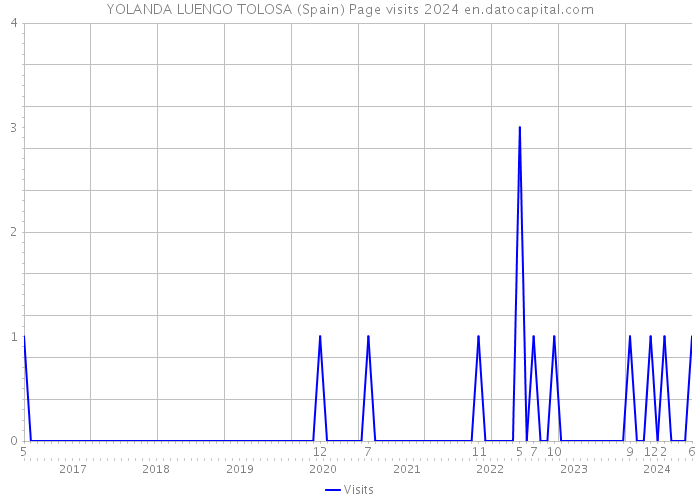 YOLANDA LUENGO TOLOSA (Spain) Page visits 2024 