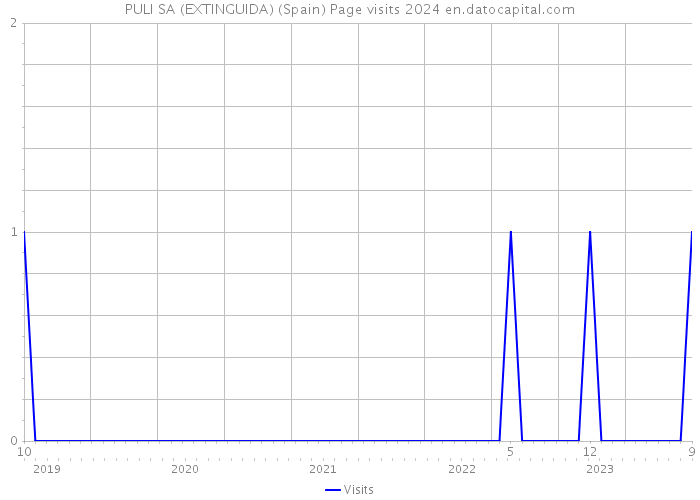 PULI SA (EXTINGUIDA) (Spain) Page visits 2024 