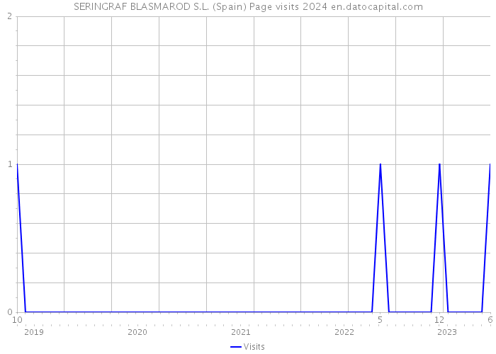 SERINGRAF BLASMAROD S.L. (Spain) Page visits 2024 