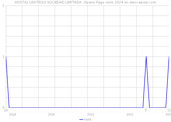 HOSTAL USATEGUI SOCIEDAD LIMITADA. (Spain) Page visits 2024 