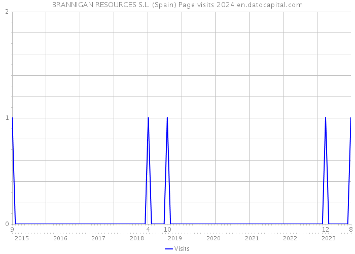 BRANNIGAN RESOURCES S.L. (Spain) Page visits 2024 