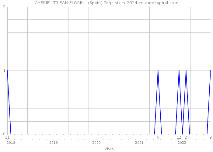 GABRIEL TRIFAN FLORIN- (Spain) Page visits 2024 