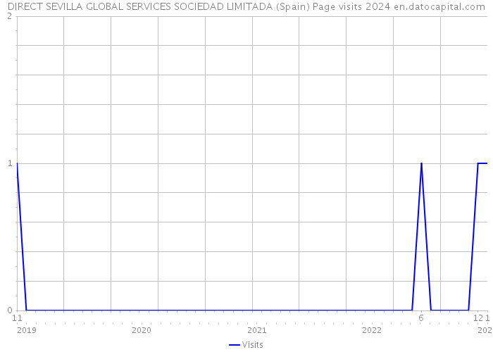 DIRECT SEVILLA GLOBAL SERVICES SOCIEDAD LIMITADA (Spain) Page visits 2024 