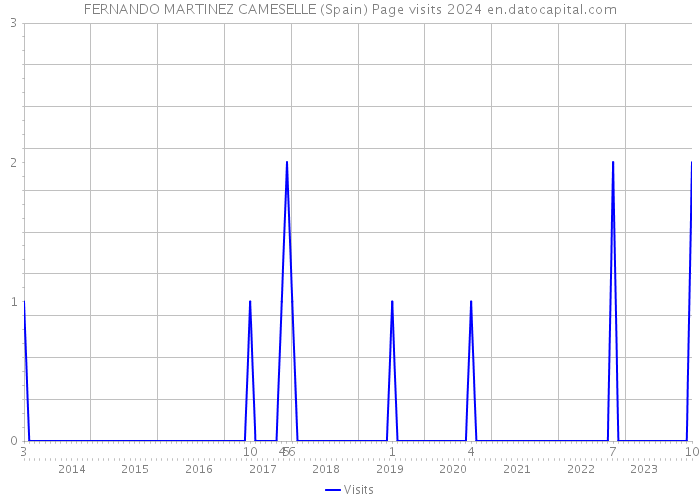 FERNANDO MARTINEZ CAMESELLE (Spain) Page visits 2024 
