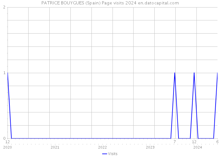 PATRICE BOUYGUES (Spain) Page visits 2024 