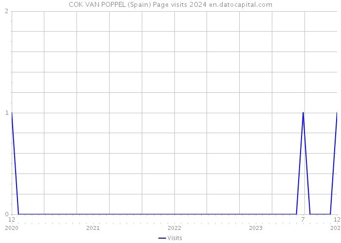 COK VAN POPPEL (Spain) Page visits 2024 