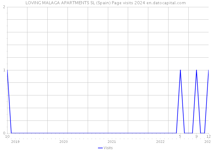 LOVING MALAGA APARTMENTS SL (Spain) Page visits 2024 