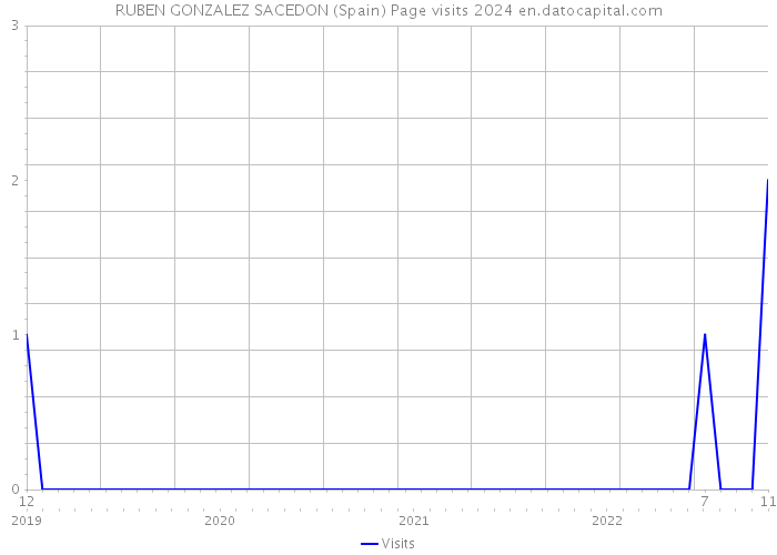 RUBEN GONZALEZ SACEDON (Spain) Page visits 2024 