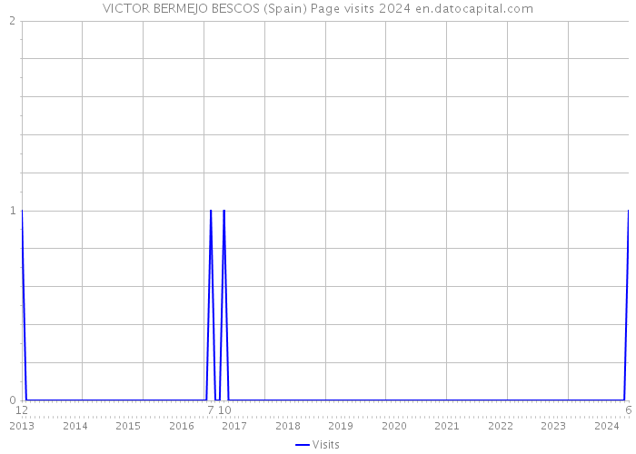 VICTOR BERMEJO BESCOS (Spain) Page visits 2024 