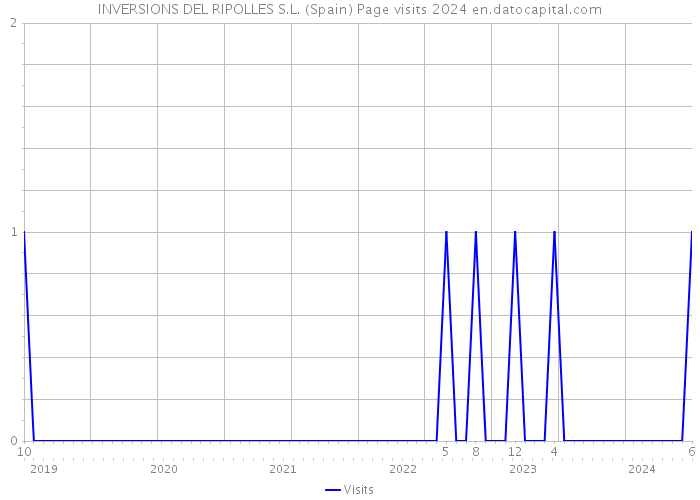 INVERSIONS DEL RIPOLLES S.L. (Spain) Page visits 2024 
