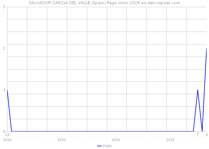 SALVADOR GARCIA DEL VALLE (Spain) Page visits 2024 