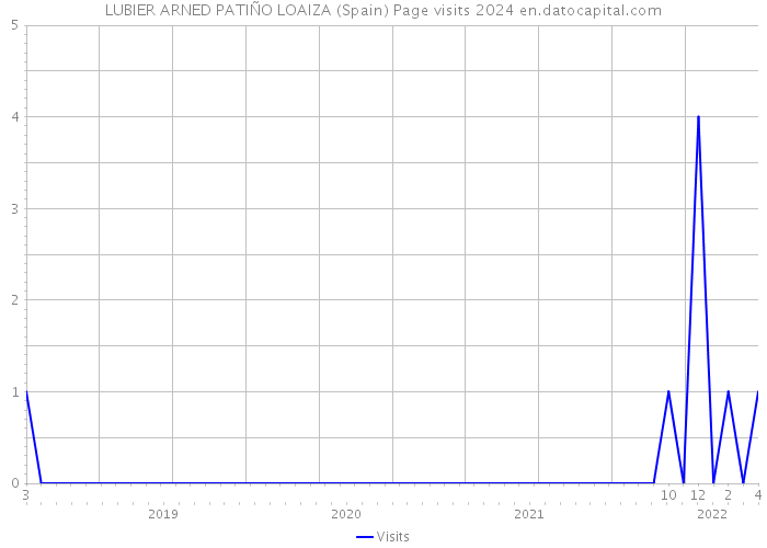 LUBIER ARNED PATIÑO LOAIZA (Spain) Page visits 2024 