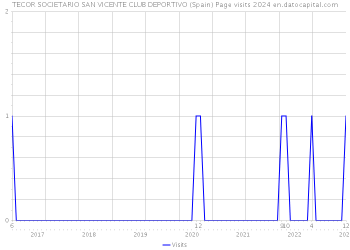 TECOR SOCIETARIO SAN VICENTE CLUB DEPORTIVO (Spain) Page visits 2024 