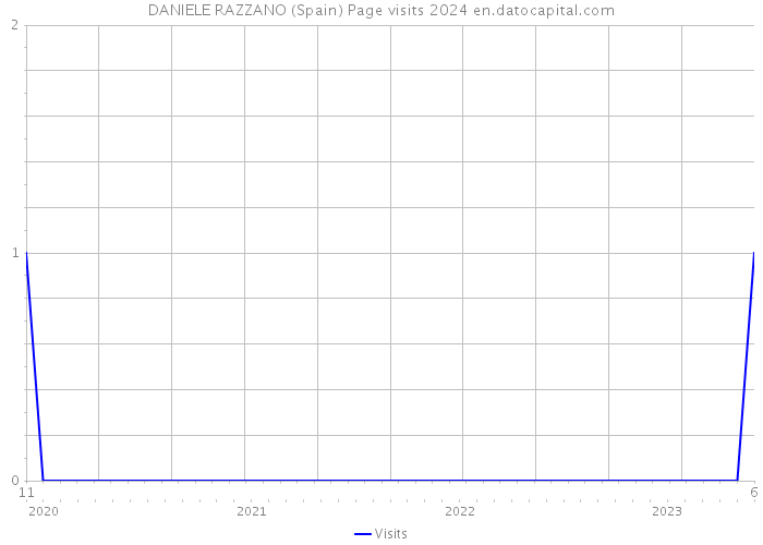 DANIELE RAZZANO (Spain) Page visits 2024 