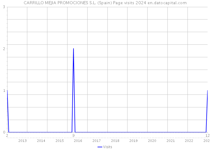 CARRILLO MEJIA PROMOCIONES S.L. (Spain) Page visits 2024 