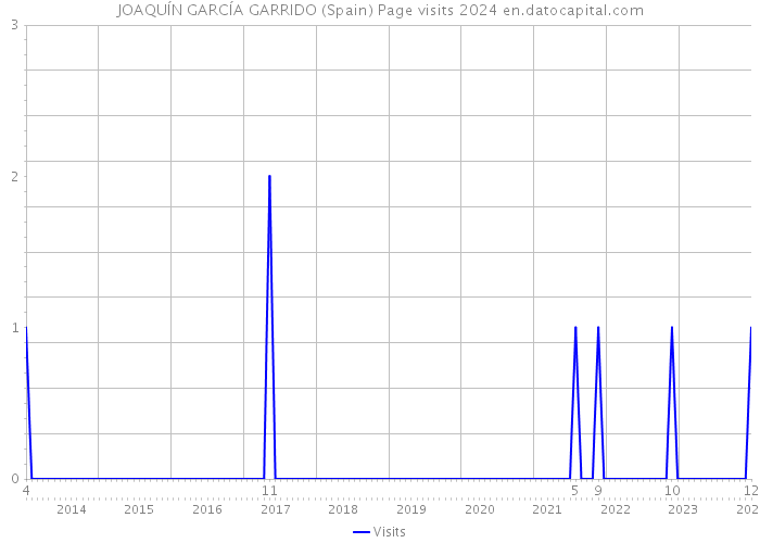 JOAQUÍN GARCÍA GARRIDO (Spain) Page visits 2024 