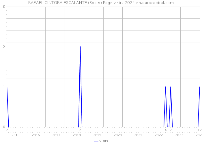 RAFAEL CINTORA ESCALANTE (Spain) Page visits 2024 
