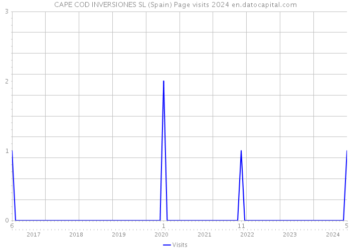 CAPE COD INVERSIONES SL (Spain) Page visits 2024 