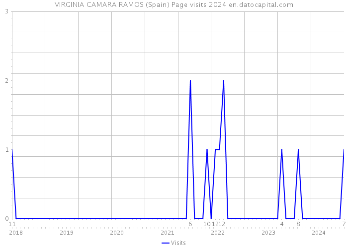 VIRGINIA CAMARA RAMOS (Spain) Page visits 2024 
