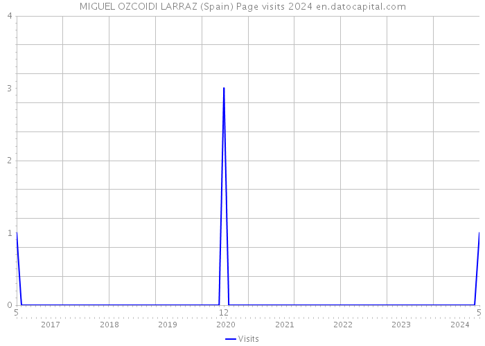 MIGUEL OZCOIDI LARRAZ (Spain) Page visits 2024 