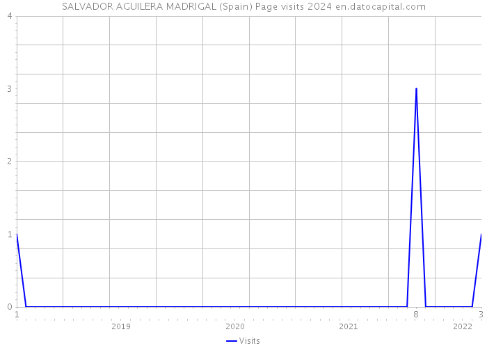 SALVADOR AGUILERA MADRIGAL (Spain) Page visits 2024 
