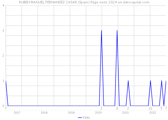 RUBEN MANUEL FERNANDEZ CASAR (Spain) Page visits 2024 