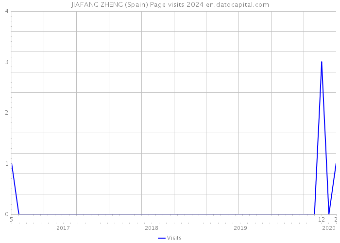 JIAFANG ZHENG (Spain) Page visits 2024 