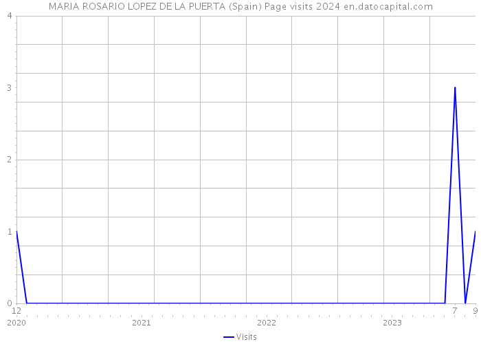 MARIA ROSARIO LOPEZ DE LA PUERTA (Spain) Page visits 2024 