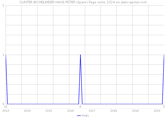 GUNTER BICHELMEIER HANS PETER (Spain) Page visits 2024 