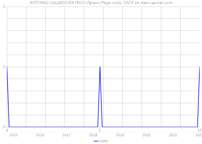 ANTONIO GALLEGO RAYEGO (Spain) Page visits 2024 