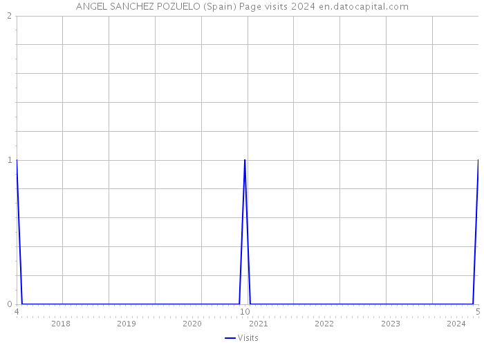 ANGEL SANCHEZ POZUELO (Spain) Page visits 2024 