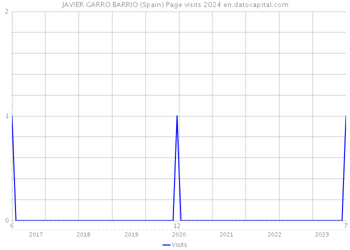 JAVIER GARRO BARRIO (Spain) Page visits 2024 