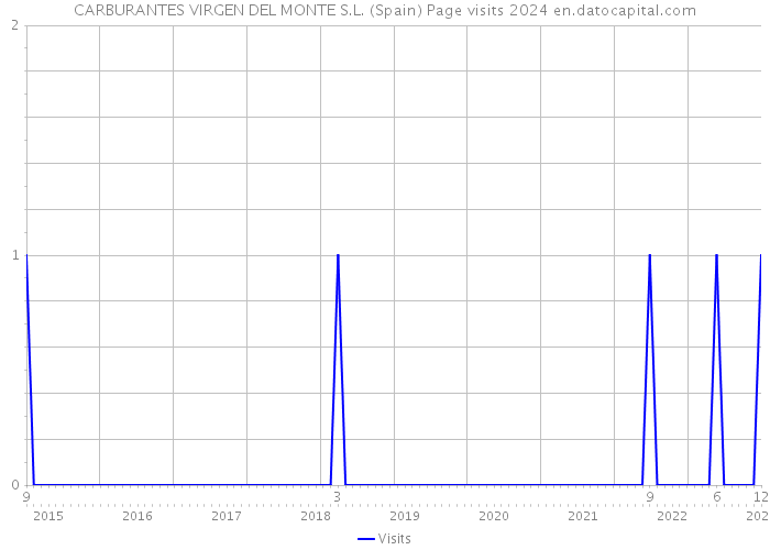 CARBURANTES VIRGEN DEL MONTE S.L. (Spain) Page visits 2024 