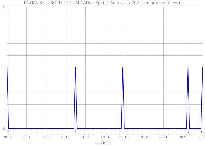 BAYMA SALT SOCIEDAD LIMITADA. (Spain) Page visits 2024 