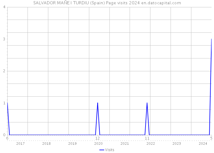 SALVADOR MAÑE I TURDIU (Spain) Page visits 2024 