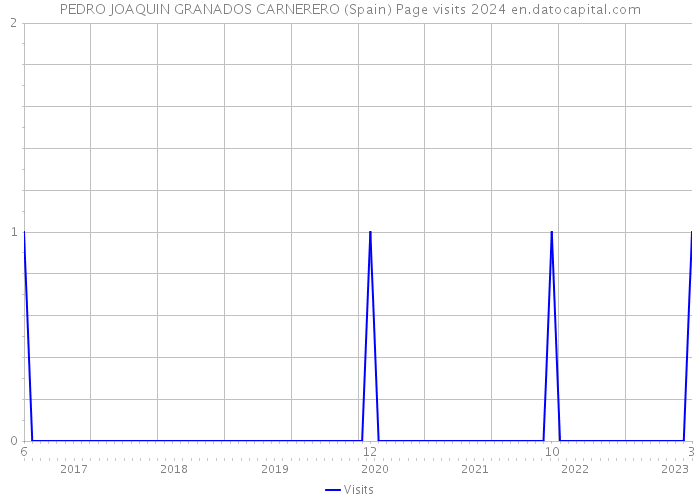 PEDRO JOAQUIN GRANADOS CARNERERO (Spain) Page visits 2024 