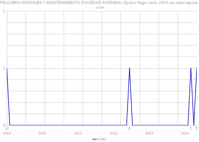 FELGUERA MONTAJES Y MANTENIMIENTO SOCIEDAD ANÓNIMA (Spain) Page visits 2024 