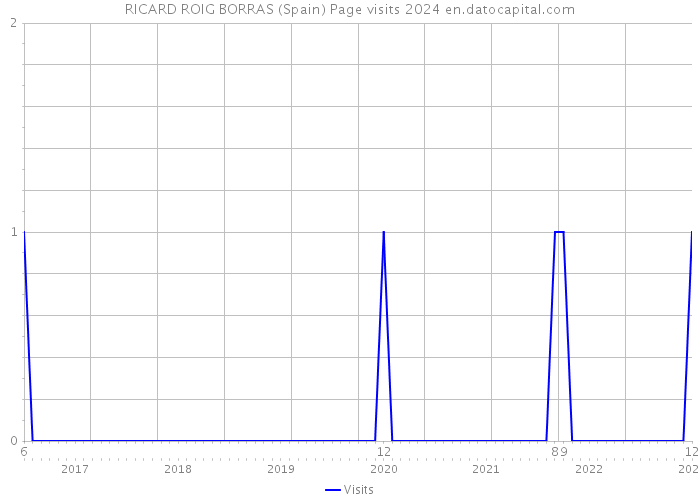 RICARD ROIG BORRAS (Spain) Page visits 2024 
