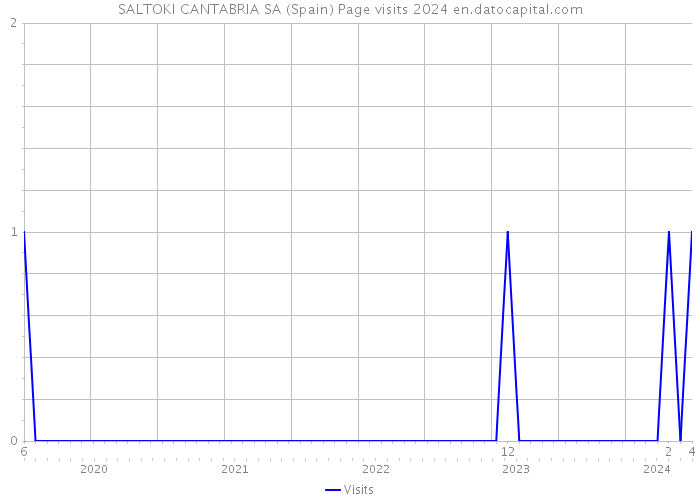 SALTOKI CANTABRIA SA (Spain) Page visits 2024 