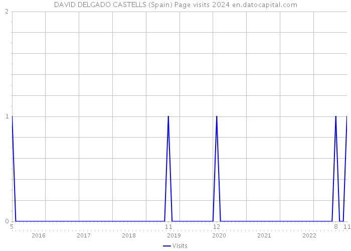 DAVID DELGADO CASTELLS (Spain) Page visits 2024 
