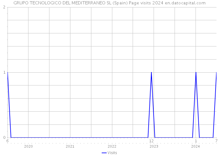GRUPO TECNOLOGICO DEL MEDITERRANEO SL (Spain) Page visits 2024 
