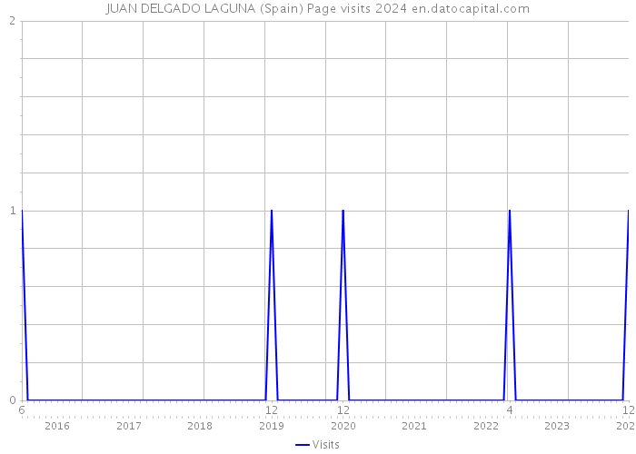 JUAN DELGADO LAGUNA (Spain) Page visits 2024 